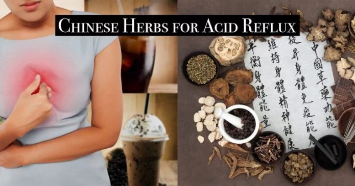 Chinese Herbs for Acid Reflux