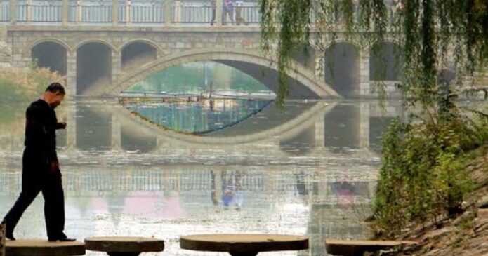 Judy Livingstone photograph