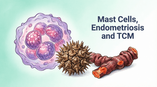 mast-cells-endometriosis-tcm