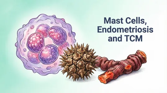 mast-cells-endometriosis-tcm