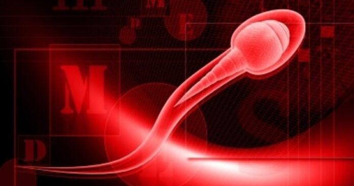 Spermatozoa and Chinese herbs