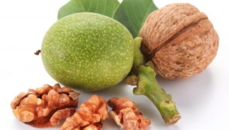 Walnut
