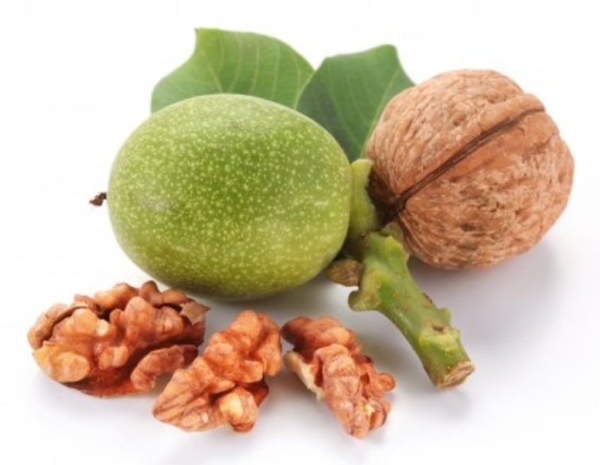 Walnut, one of the many Chinese herbs for fertility The Acupuncture