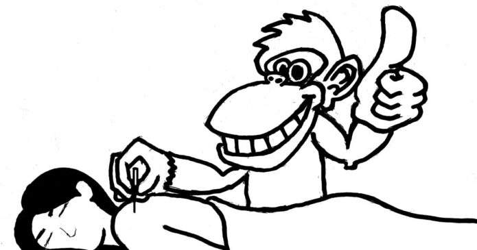 A monkey performing dry needling