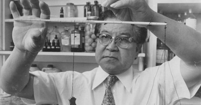 William Wong Doo (President of Acupuncture NZ from 1977 to 1984)